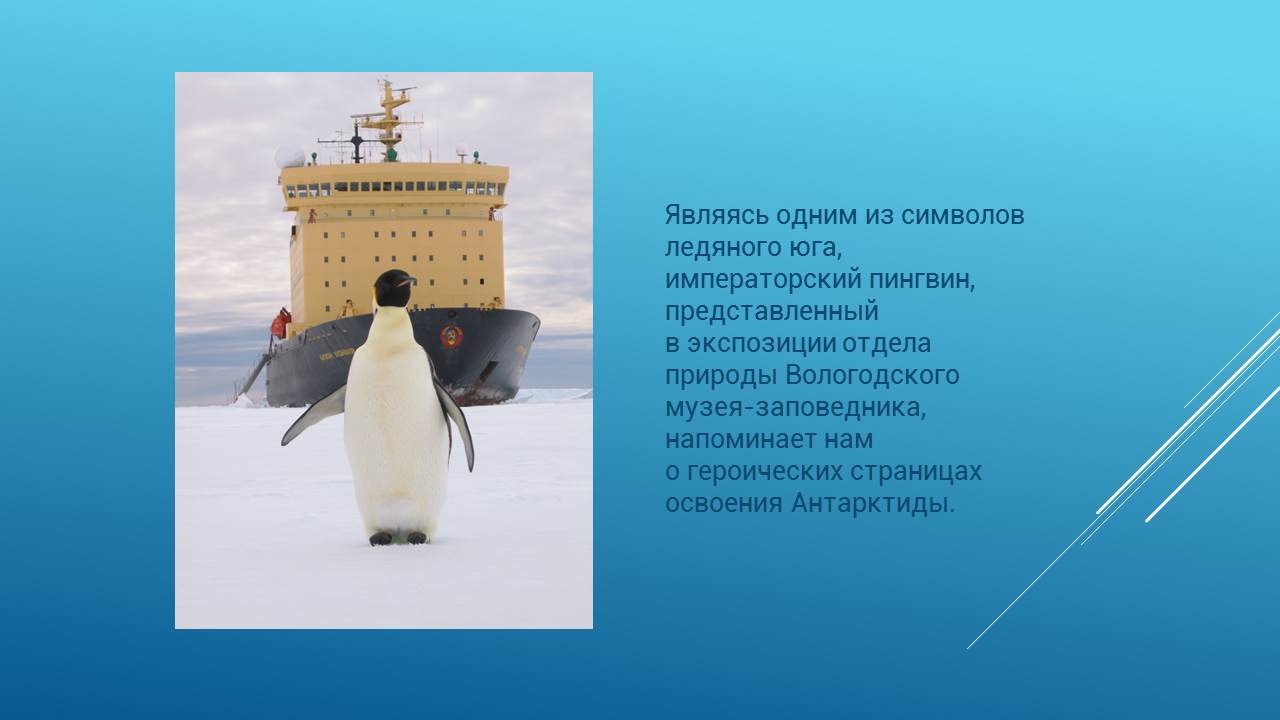 Героические страницы