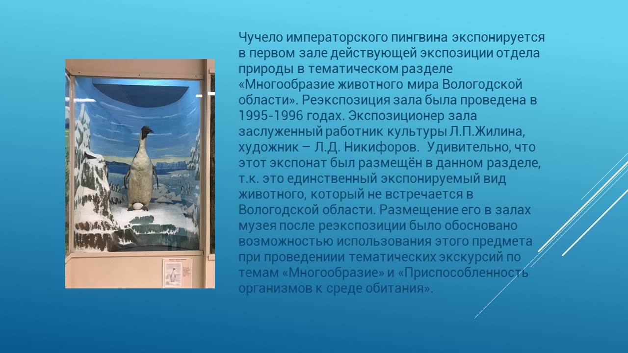 Реэкспозиция