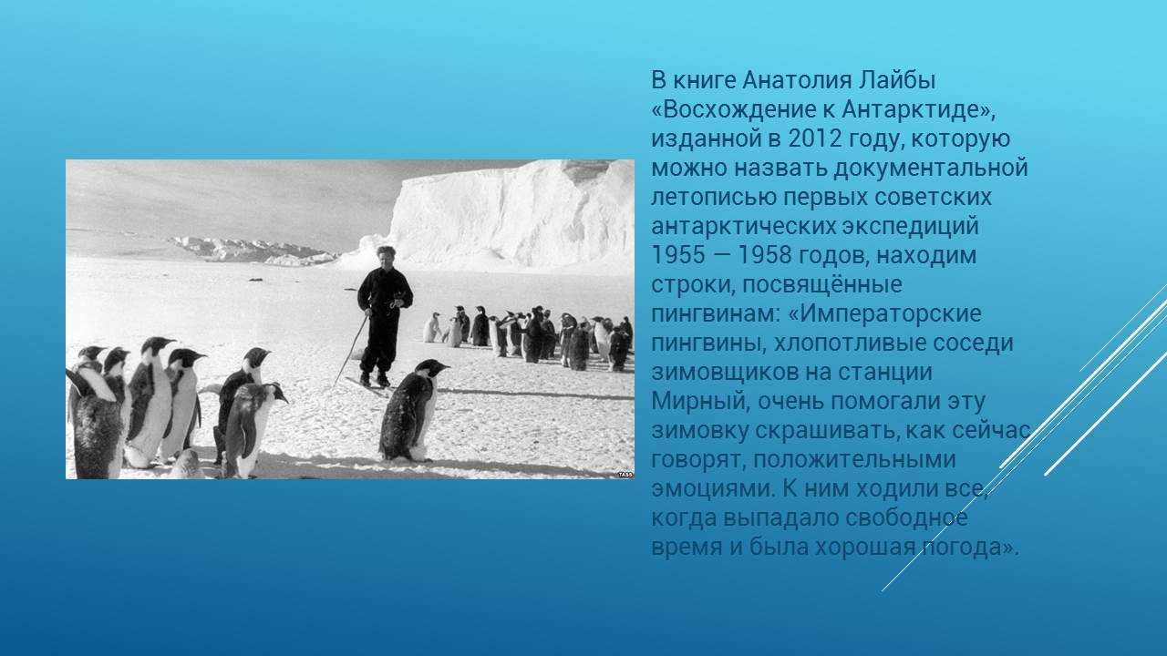 Книга Анатолия Лайбы Восхождение к Антарктиде